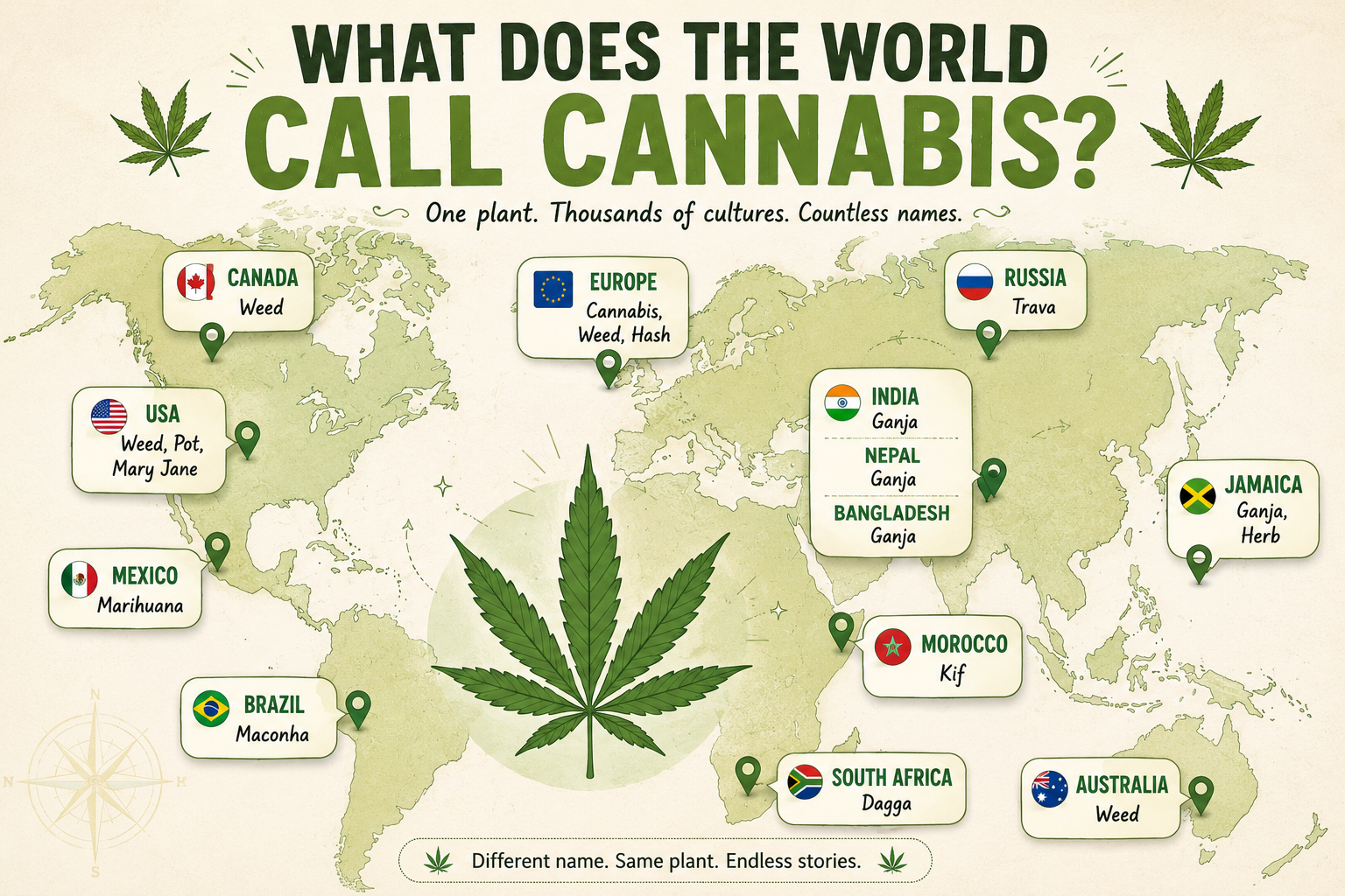 Why Is It Called Ganja, Weed, Pot, Herb, Grass & Marijuana? - cannabis education article cover